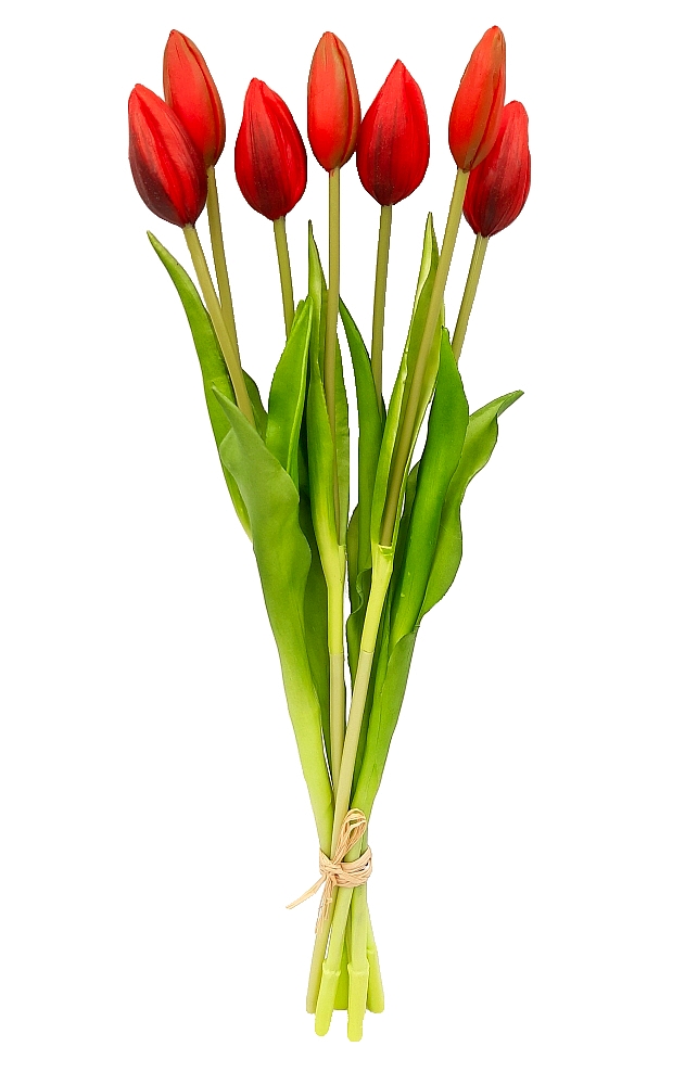tulipan-tulipany-bukiet-7-szt-czerwony (1)