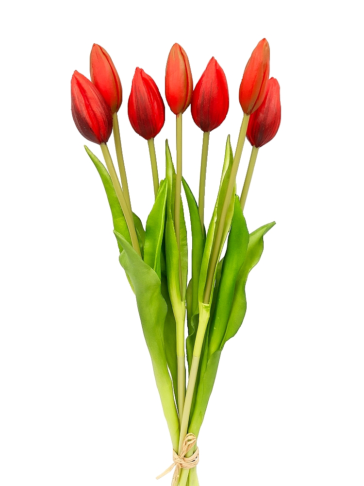 tulipan-tulipany-bukiet-7-szt-czerwony (2)