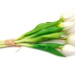 tulipan-tulipany-silikonowe-bukiet-5-szt-bialy-2 (4)