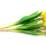 tulipan-tulipany-silikonowe-bukiet-5-szt-zolte (3)