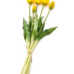 tulipany-silikonowe-bukiet-5-szt-tulipan-zolty (2)