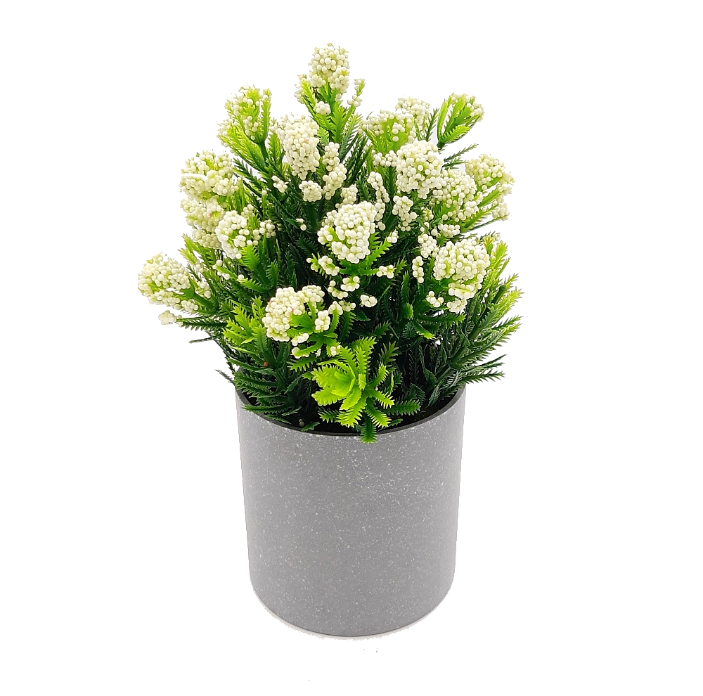 roslina-ozdobna-w-doniczce-dekoracja-ozdoba-biala