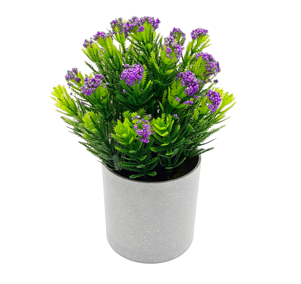 roslina-ozdobna-w-doniczce-dekoracja-ozdoba-fioletowa