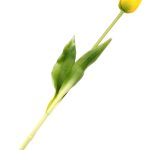 tulipan-sztuczny-silikonowy-40-cm-zolty-3 (3)