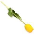 tulipan-sztuczny-silikonowy-40-cm-zolty-3 (4)