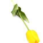 tulipan-sztuczny-silikonowy-40-cm-zolty-3 (5)