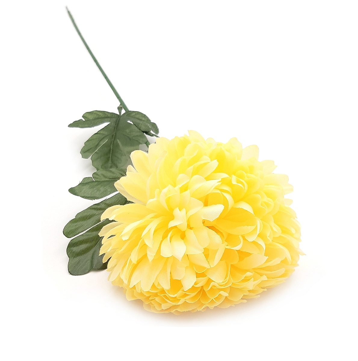 chryzantema-zolta-pojedyncza-dluga-galazka-70-cm (1)