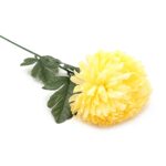 chryzantema-zolta-pojedyncza-dluga-galazka-70-cm (2)