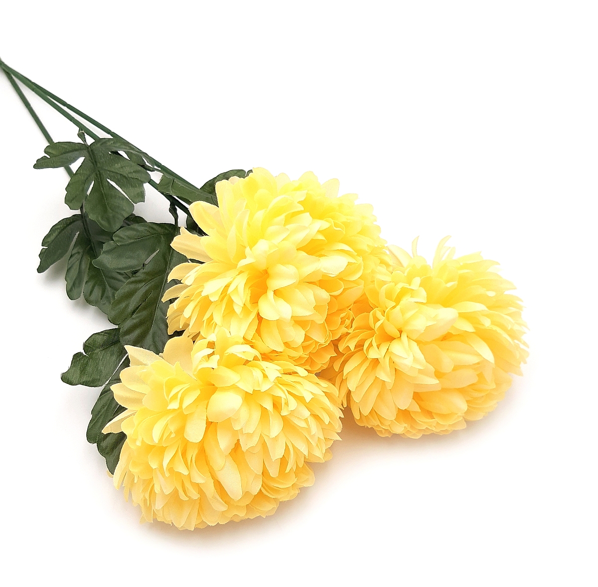 chryzantema-zolta-pojedyncza-dluga-galazka-70-cm (3)