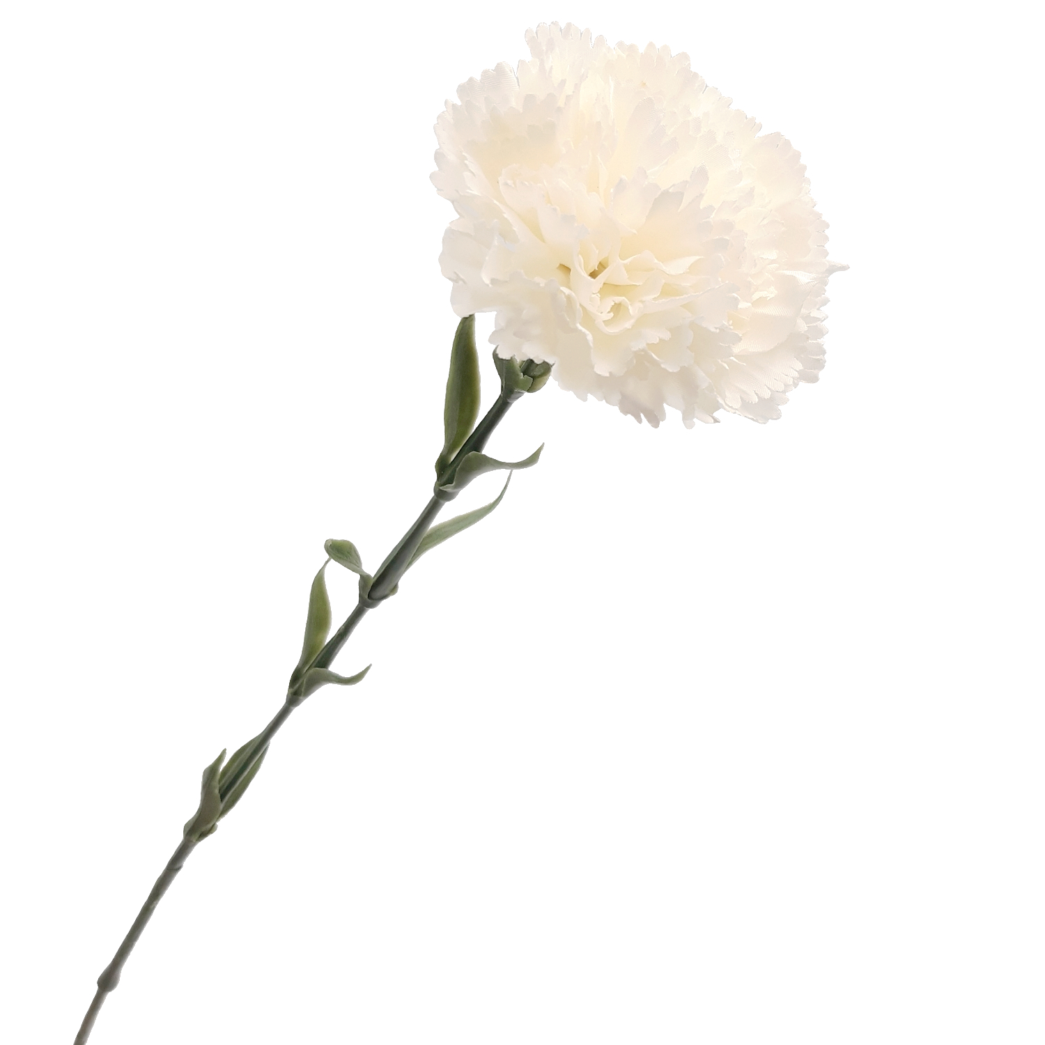 gozdzik-pojedynczy-galazka-70-cm-bialy (1)