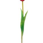 tulipan-silikonowy-gumowy-czerwony-07587 (1)