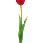 tulipan-silikonowy-gumowy-czerwony-07587 (2)