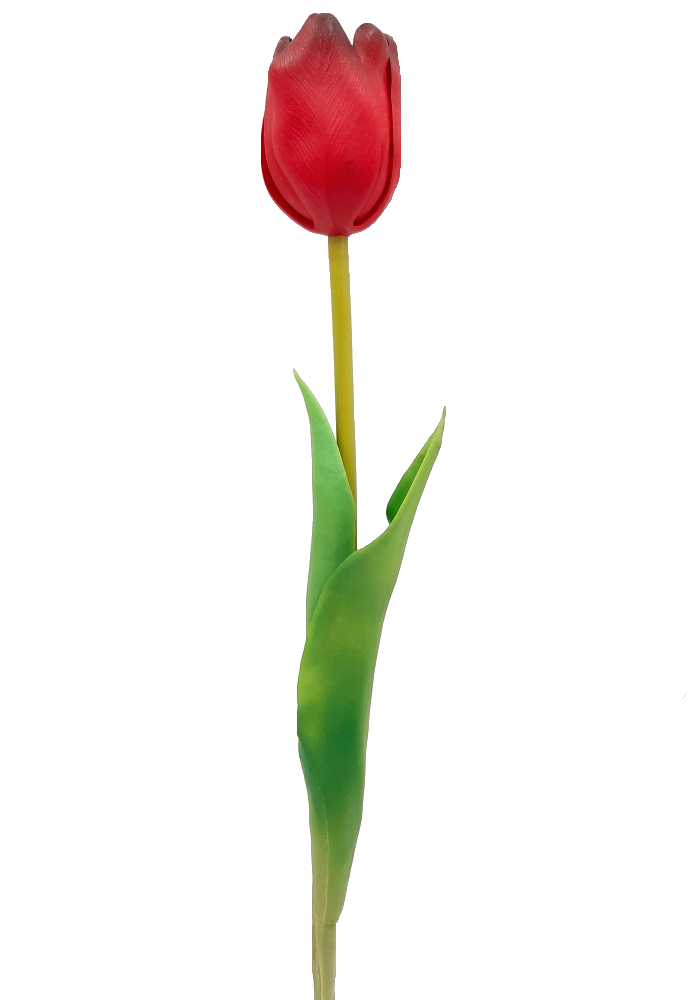 tulipan-silikonowy-gumowy-czerwony-07587 (2)