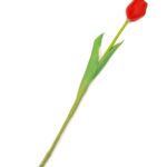 tulipan-silikonowy-gumowy-czerwony (2)