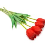 tulipan-silikonowy-gumowy-czerwony (4)