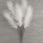 trawa-pampasowa-biala-dluga-galazka-pampas-7-szt-100-cm (3)