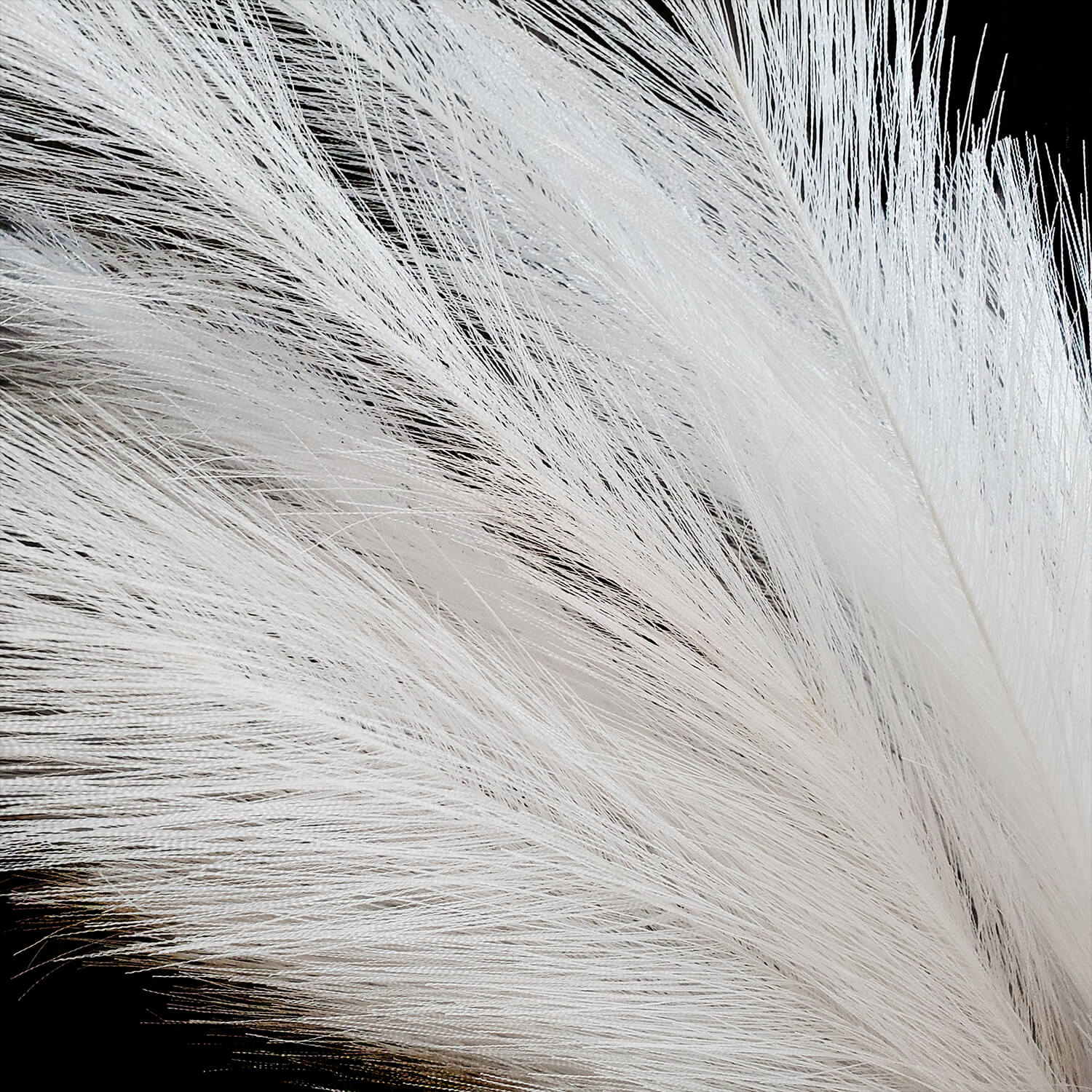 trawa-pampasowa-biala-dluga-galazka-pampas-7-szt-100-cm (5)