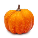 sztuczna-dynia-ozdobna-dekoracja-jesienna-dynia-do-kompozycji (1)