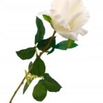 SZTUCZNA-ROZA-GALAZKA-DLUGA-75-cm-SZTUCZNE-ROZE-BIALA-Kod-producenta-biala-roza-sztuczna-75cm-wysoka-galazka