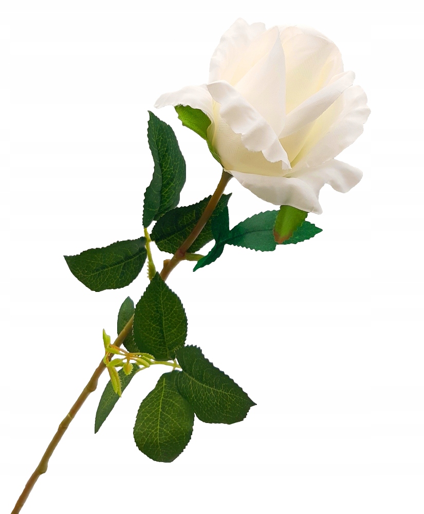 SZTUCZNA-ROZA-GALAZKA-DLUGA-75-cm-SZTUCZNE-ROZE-BIALA-Kod-producenta-biala-roza-sztuczna-75cm-wysoka-galazka