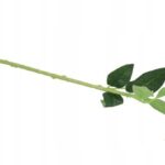 SZTUCZNA-ROZA-GALAZKA-DLUGA-75-cm-SZTUCZNE-ROZE-BIALA-Marka-inna