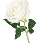 SZTUCZNA-ROZA-GALAZKA-DLUGA-75-cm-SZTUCZNE-ROZE-BIALA-Wysokosc-maksymalna-75-cm