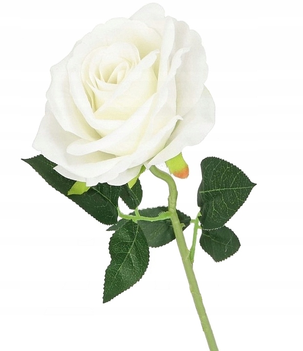 SZTUCZNA-ROZA-GALAZKA-DLUGA-75-cm-SZTUCZNE-ROZE-BIALA-Wysokosc-maksymalna-75-cm