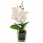 SZTUCZNY-STORCZYK-W-DONICZCE-BIALY-ROSLINA-DONICZKOWA-SZTUCZNA-ORCHIDEA-Kod-producenta-Storczyk-silikonowy-bialy-sztuczne-kwiaty
