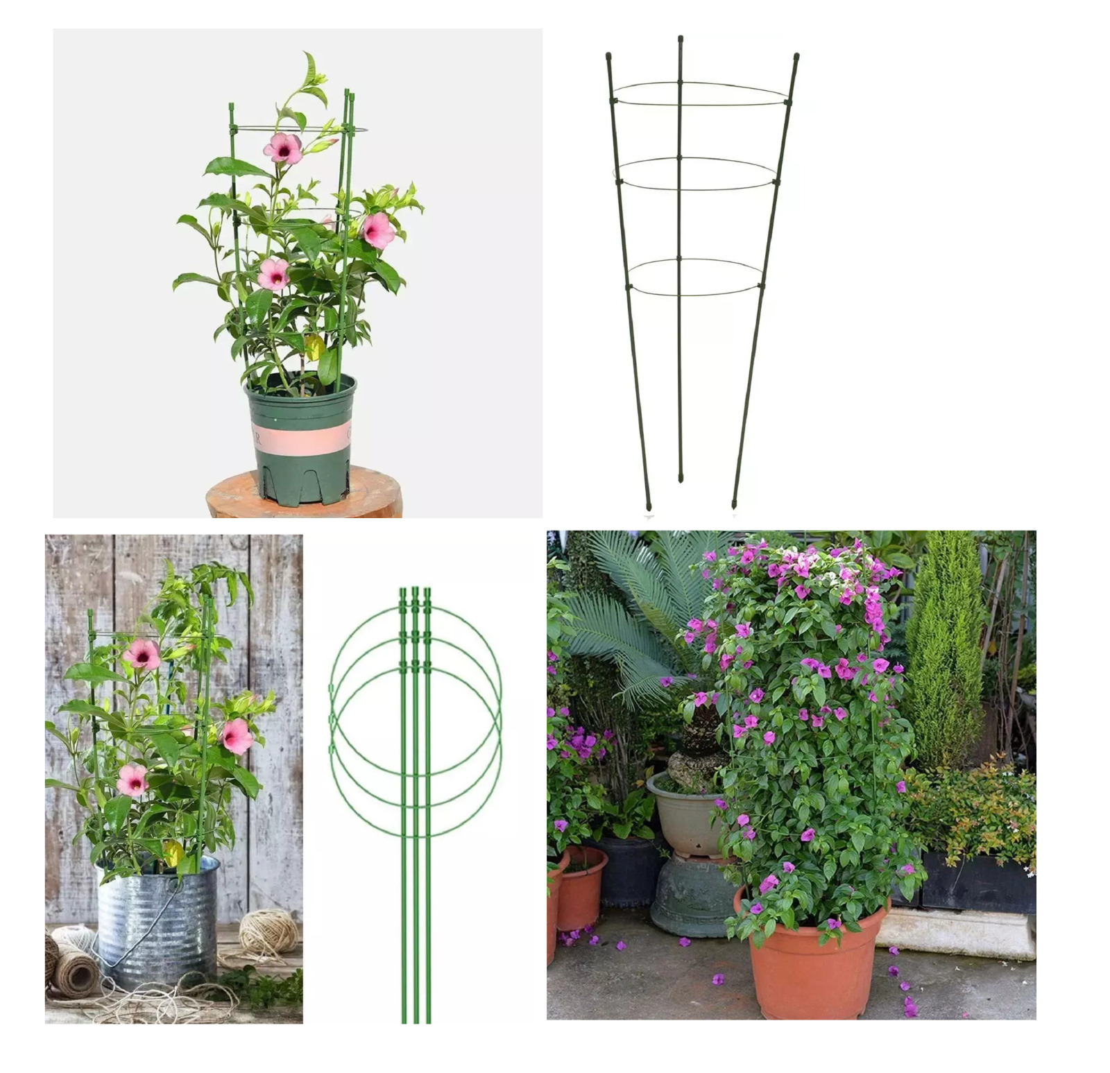 podpora-pierscieniowa-do-roslin-kwiatow (1)