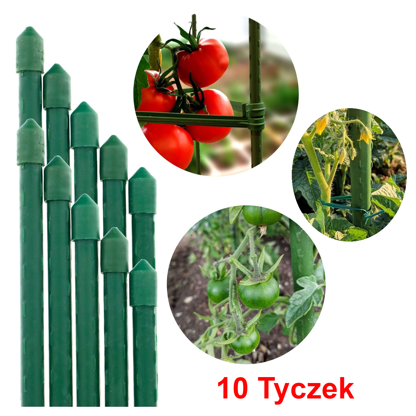 tyczka-do-pomidorow-palik-podpora-ogrodowa (5)
